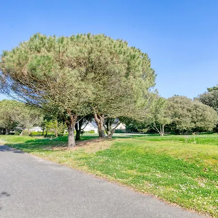 Appartement Exceptionnel Sur *